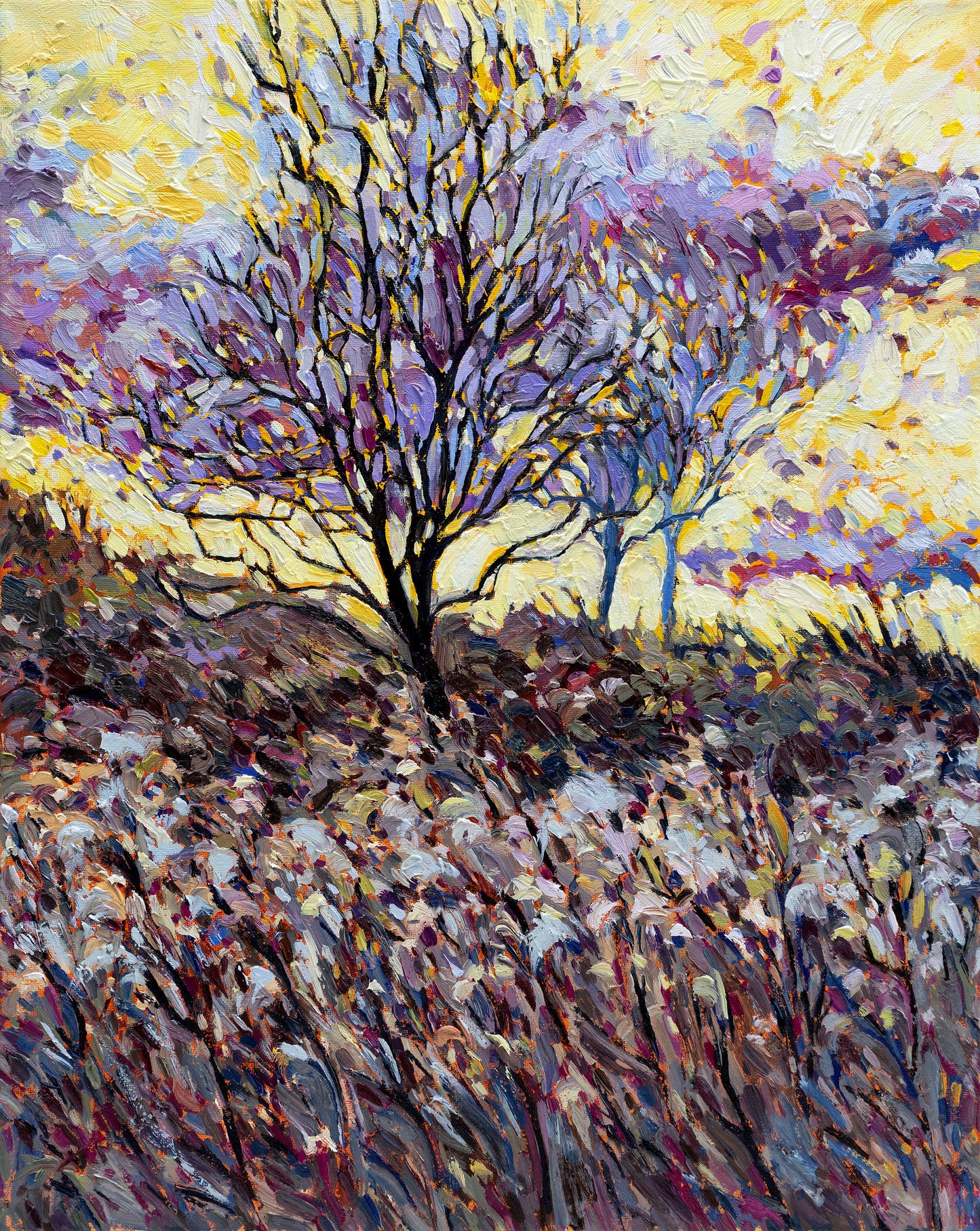 november storms II fine art print