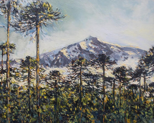 araucaria impressions