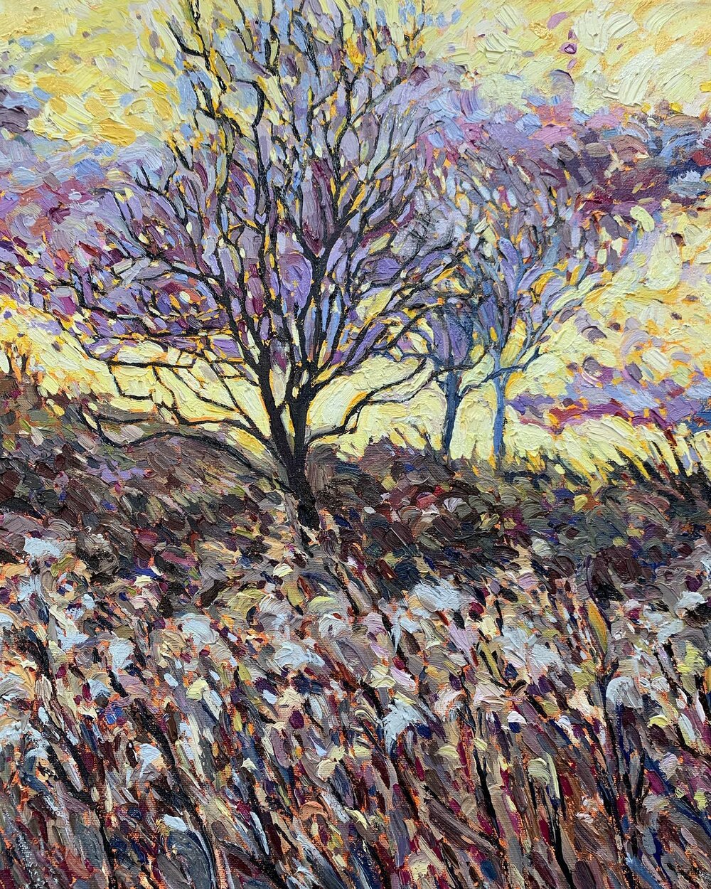 November Storms ii