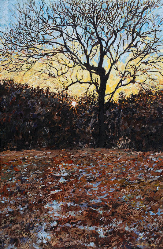 ephemeral snow fine art print