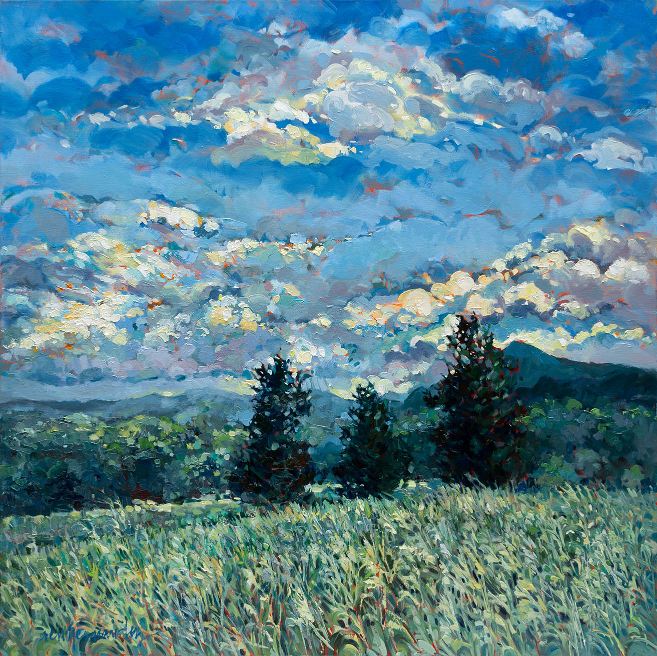 wyomissing meadows